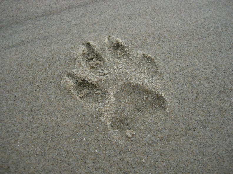 06_footprint.jpg