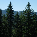 Classic Cascades View