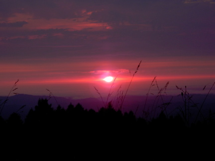 Marys Peak Sunset