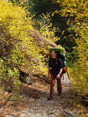 Casey hiking among autumn foliage