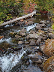Return to Badger Creek