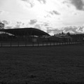 Vet School Equine Pavilion